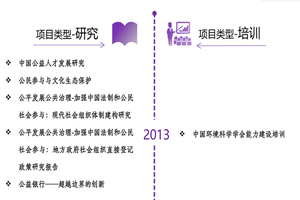 啊啊干非评估类项目发展历程